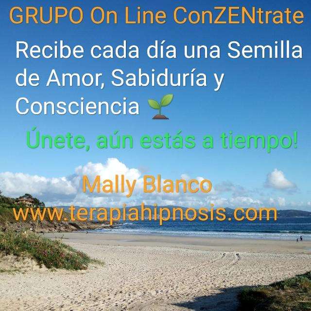 CURSO ON LINE "ConZENtrate"