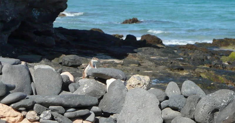 Tratamientos de Terapia Hipnosis: trastornos infantiles Tratamientos de Terapia Hipnosis: trastornos infantiles